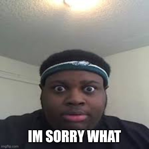 edp | IM SORRY WHAT | image tagged in edp | made w/ Imgflip meme maker