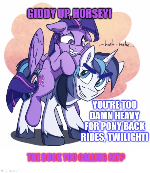 Just like old times | GIDDY UP, HORSEY! YOU'RE TOO DAMN HEAVY FOR PONY BACK RIDES, TWILIGHT! THE BUCK YOU CALLING FAT? | image tagged in mlp,twilight sparkle,shining armor,pony,ride | made w/ Imgflip meme maker