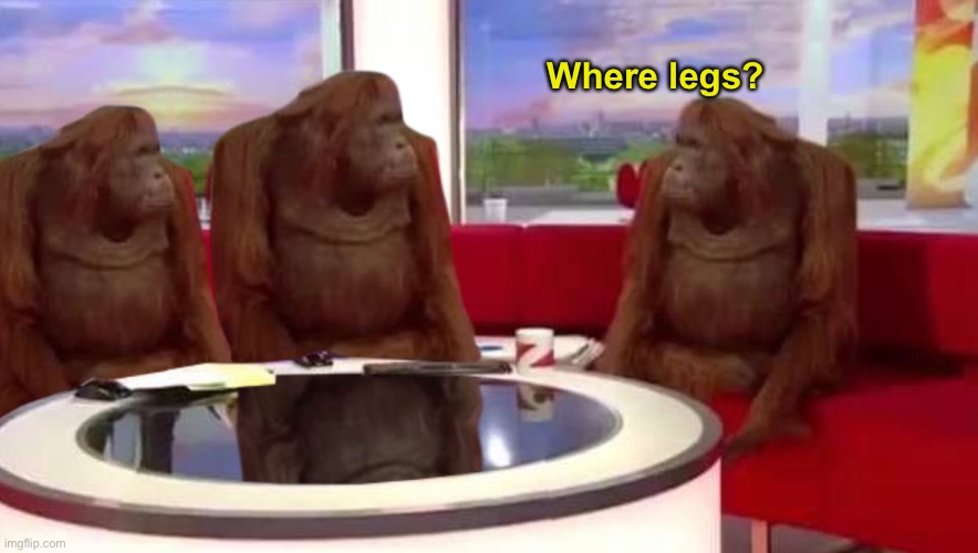 where monkey | Where legs? | image tagged in where monkey | made w/ Imgflip meme maker