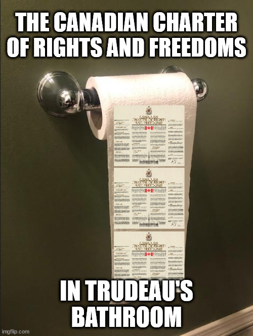 This is what JT thinks of the Charter of Rights and Freedoms | THE CANADIAN CHARTER OF RIGHTS AND FREEDOMS; IN TRUDEAU'S BATHROOM | image tagged in trudeau,freedom | made w/ Imgflip meme maker