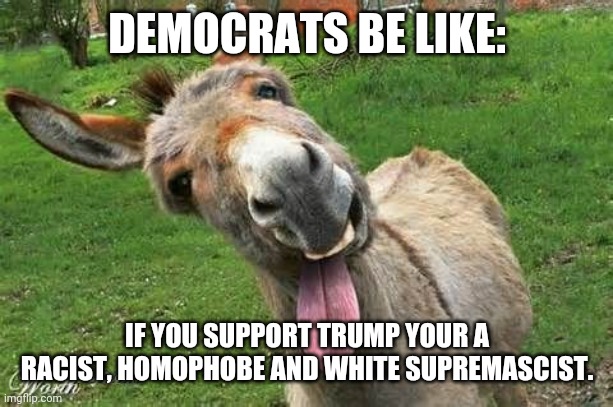 Laughing Donkey | DEMOCRATS BE LIKE: IF YOU SUPPORT TRUMP YOUR A RACIST, HOMOPHOBE AND WHITE SUPREMASCIST. | image tagged in laughing donkey | made w/ Imgflip meme maker