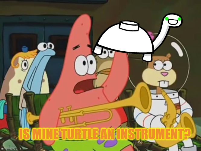 Mine turtle for HOC... | IS MINE TURTLE AN INSTRUMENT? | image tagged in is mayonnaise an instrument,vote,mine turtle,or dont,im not your mom | made w/ Imgflip meme maker