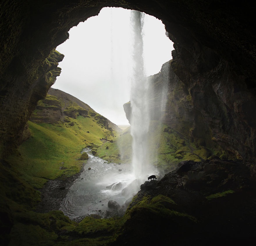 Photo credit: Alicja Zmysłowska | image tagged in awesome,pics,photography | made w/ Imgflip meme maker