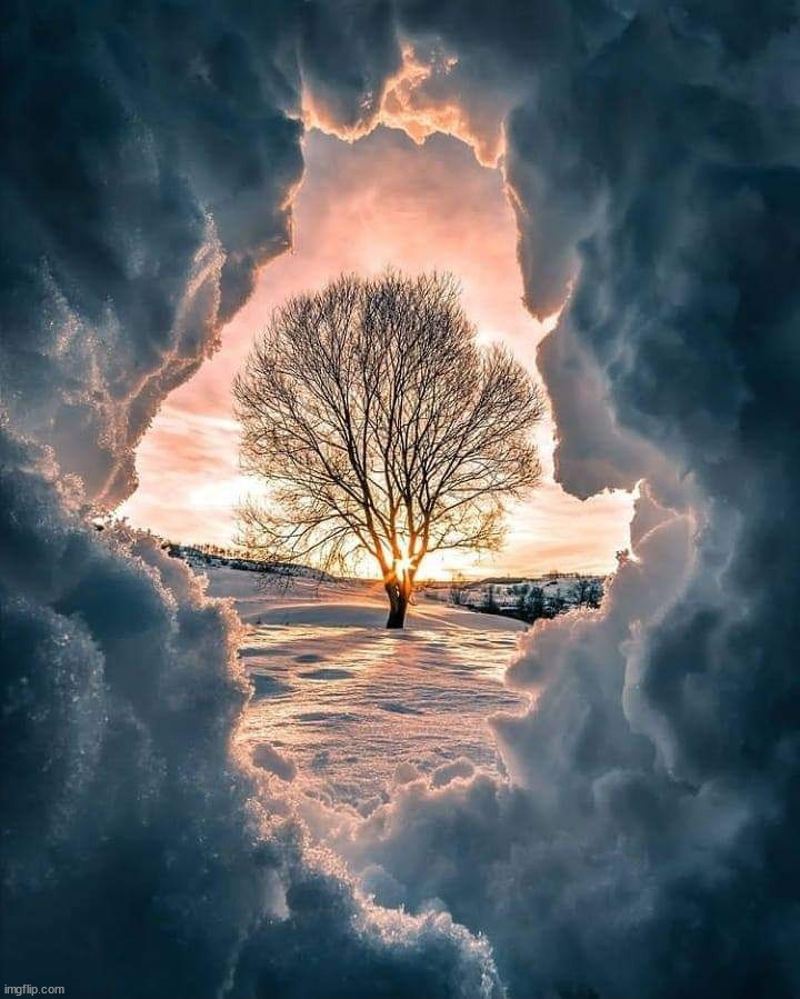 through the snow | image tagged in awesome | made w/ Imgflip meme maker