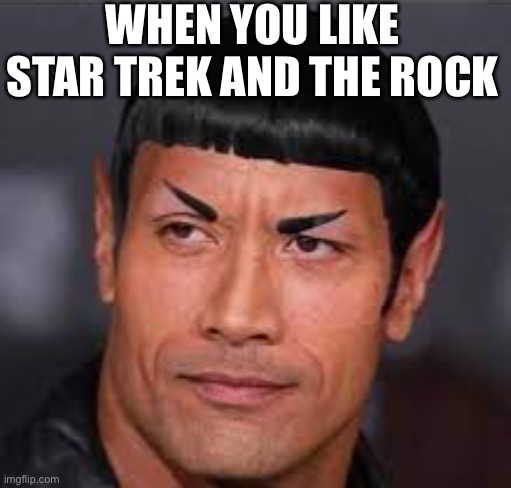 The rock Star Trek | WHEN YOU LIKE STAR TREK AND THE ROCK | image tagged in fun | made w/ Imgflip meme maker