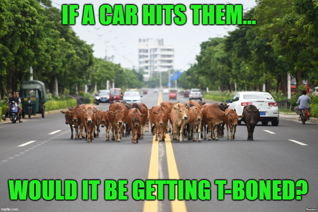 IF A CAR HITS THEM... WOULD IT BE GETTING T-BONED? | image tagged in eye roll | made w/ Imgflip meme maker