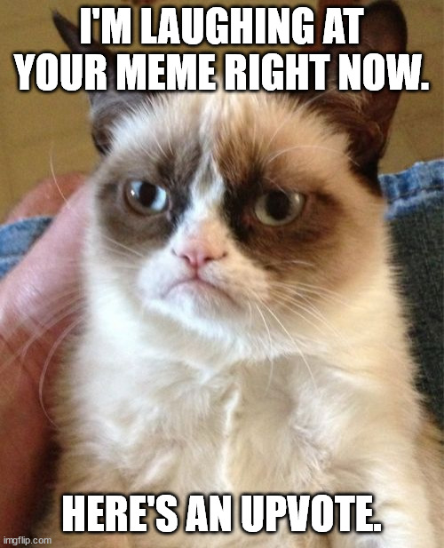 Grumpy Cat Meme | I'M LAUGHING AT YOUR MEME RIGHT NOW. HERE'S AN UPVOTE. | image tagged in memes,grumpy cat | made w/ Imgflip meme maker
