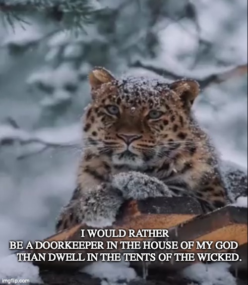 House of God is better than Tents of the Wicked | I WOULD RATHER BE A DOORKEEPER IN THE HOUSE OF MY GOD
    THAN DWELL IN THE TENTS OF THE WICKED. | image tagged in psalm 84 | made w/ Imgflip meme maker