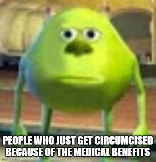 Sully Wazowski | PEOPLE WHO JUST GET CIRCUMCISED BECAUSE OF THE MEDICAL BENEFITS | image tagged in sully wazowski | made w/ Imgflip meme maker