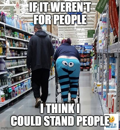 People | IF IT WEREN'T FOR PEOPLE; I THINK I COULD STAND PEOPLE | image tagged in people of walmart - cookie monster | made w/ Imgflip meme maker