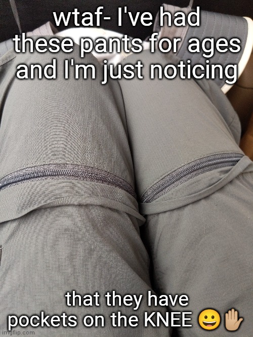 useless ass pockets. honestly. | wtaf- I've had these pants for ages and I'm just noticing; that they have pockets on the KNEE 😀✋🏼 | made w/ Imgflip meme maker