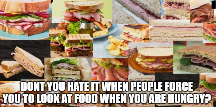 ham stir | DONT YOU HATE IT WHEN PEOPLE FORCE YOU TO LOOK AT FOOD WHEN YOU ARE HUNGRY? | image tagged in funny,sandwich,meat,cheese,bread,is mayonnaise an instrument | made w/ Imgflip meme maker