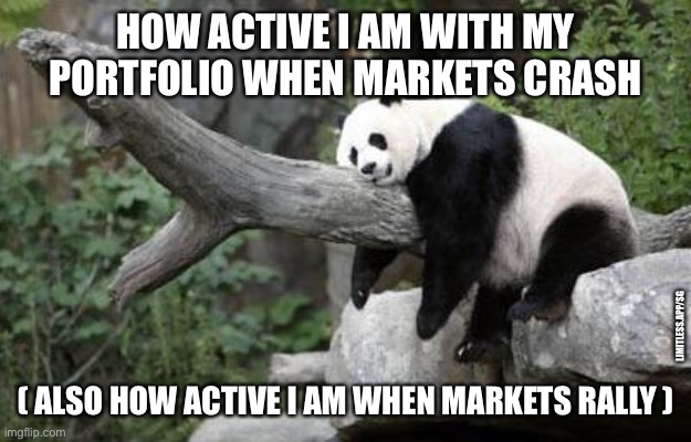 Don’t just do something, sit there! | HOW ACTIVE I AM WITH MY PORTFOLIO WHEN MARKETS CRASH; LIMITLESS.APP/SG; ( ALSO HOW ACTIVE I AM WHEN MARKETS RALLY ) | image tagged in lazy panda,personal finance,financial literacy,limitless,stock market,passive | made w/ Imgflip meme maker