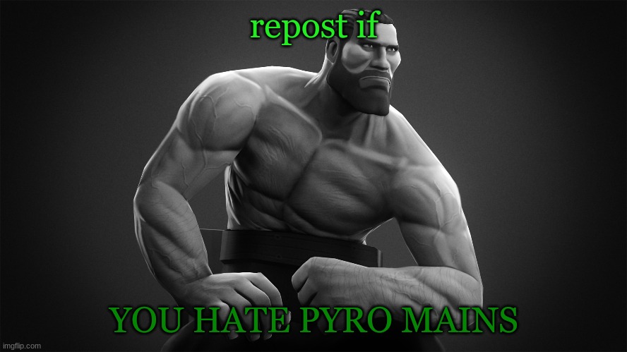 stupid pyros, | repost if; YOU HATE PYRO MAINS | made w/ Imgflip meme maker