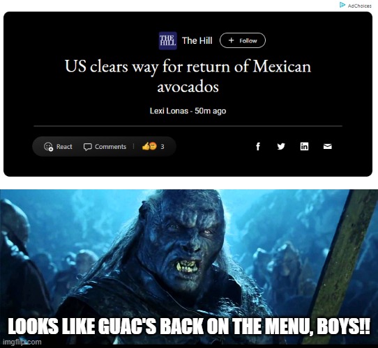 LOOKS LIKE GUAC'S BACK ON THE MENU, BOYS!! | image tagged in looks like meat's back on the menu boys | made w/ Imgflip meme maker