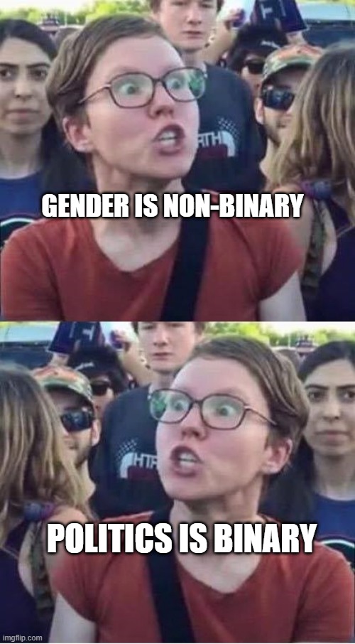 Why people think you're mental | GENDER IS NON-BINARY; POLITICS IS BINARY | image tagged in angry liberal hypocrite,binary,non-binary | made w/ Imgflip meme maker