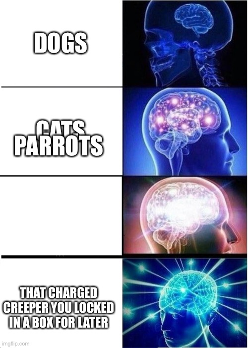 Expanding Brain Meme | DOGS; CATS; PARROTS; THAT CHARGED CREEPER YOU LOCKED IN A BOX FOR LATER | image tagged in memes,expanding brain | made w/ Imgflip meme maker