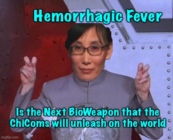 HEMORRHAGIC FEVER aka LASSA — fever & fatigue, bleeding in the mouth, trouble breathing & low blood pressure. |  Hemorrhagic Fever; 2/18/22  MRA; Is the Next BioWeapon that the
ChiComs will unleash on the world | image tagged in memes,dr evil laser,rare until now,thanks again dr fraudci | made w/ Imgflip meme maker
