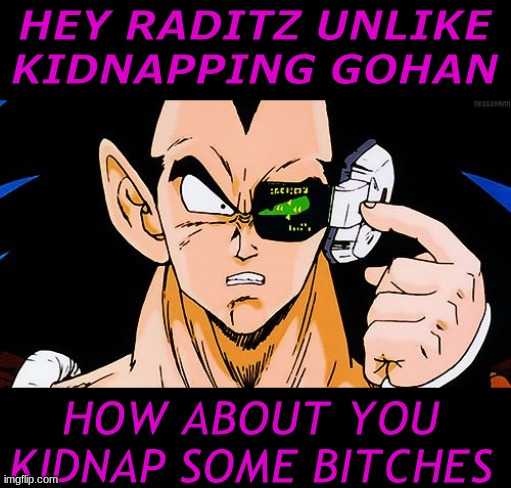 raditz | HEY RADITZ UNLIKE KIDNAPPING GOHAN; HOW ABOUT YOU KIDNAP SOME BITCHES | image tagged in scouter raditz,some bitches | made w/ Imgflip meme maker
