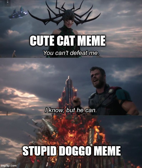 image tagged in doggo,doggos,cat,cats vs dogs,cute cat,doggo memes | made w/ Imgflip meme maker