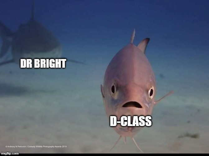 This won't end well | DR BRIGHT; D-CLASS | image tagged in suddenly mortal fish,scp,scp meme | made w/ Imgflip meme maker