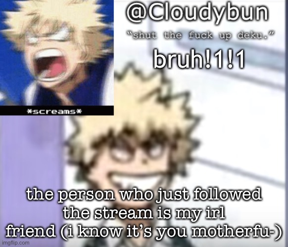 Bakuhoe | bruh!1!1; the person who just followed the stream is my irl friend (i know it’s you motherfu-) | image tagged in bakuhoe | made w/ Imgflip meme maker