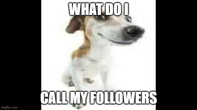 a a folou | WHAT DO I; CALL MY FOLLOWERS | image tagged in a a folou | made w/ Imgflip meme maker