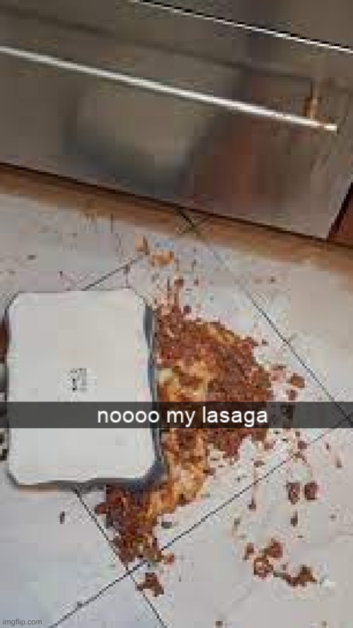 noooo my lasaga the sequel | made w/ Imgflip meme maker