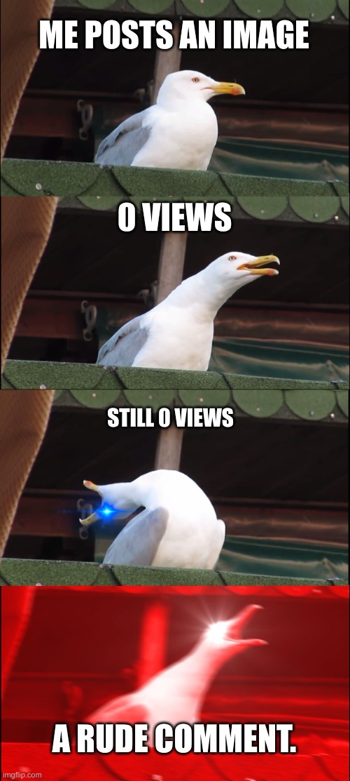 asdfghj | ME POSTS AN IMAGE; 0 VIEWS; STILL 0 VIEWS; A RUDE COMMENT. | image tagged in memes,inhaling seagull | made w/ Imgflip meme maker