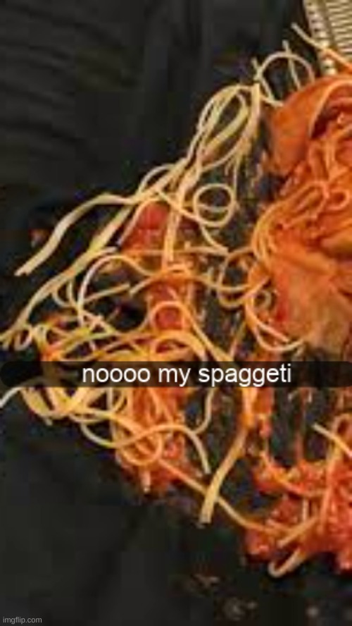 from the developers that gave you "noooo my lasaga" the next big thing, "noooo my spaggeti" | made w/ Imgflip meme maker