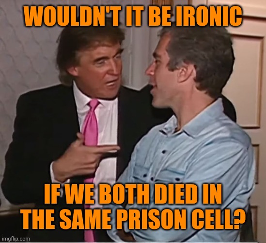 Funny too | WOULDN'T IT BE IRONIC; IF WE BOTH DIED IN THE SAME PRISON CELL? | image tagged in trump epstein party | made w/ Imgflip meme maker