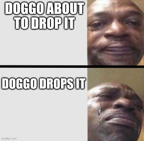 Crying black dude weed | DOGGO ABOUT TO DROP IT DOGGO DROPS IT | image tagged in crying black dude weed | made w/ Imgflip meme maker