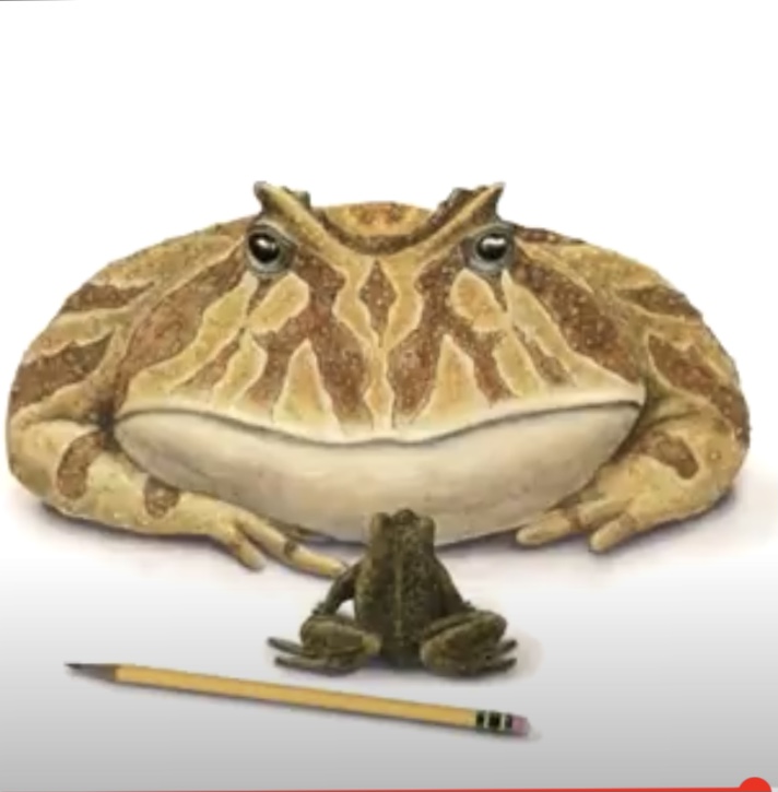 Small Frog, Big Frog Blank Meme Template