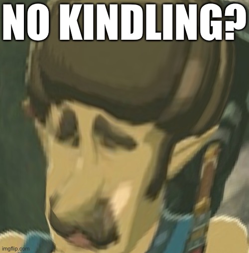 Botw players know what I mean | NO KINDLING? | made w/ Imgflip meme maker