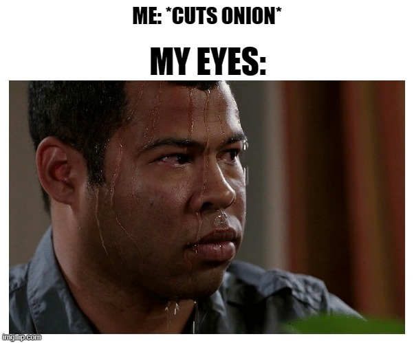 "ONIONS HAVE LAYERS!" | ME: *CUTS ONION*; MY EYES: | image tagged in jordan peele sweating | made w/ Imgflip meme maker