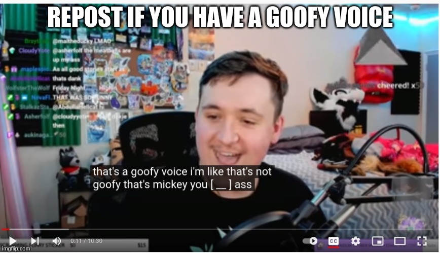 idek | REPOST IF YOU HAVE A GOOFY VOICE | image tagged in idek | made w/ Imgflip meme maker