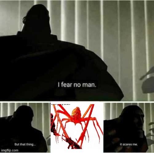 I fear no man | image tagged in i fear no man,spider crabs are fricking terrifying | made w/ Imgflip meme maker