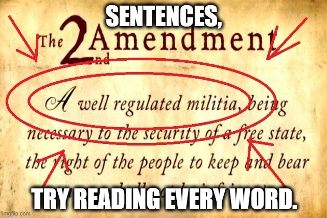 Reading Comprehension Lesson for the Illiterate. | SENTENCES, TRY READING EVERY WORD. | image tagged in guns,2nd amendment,grammar,constitution,government,words | made w/ Imgflip meme maker