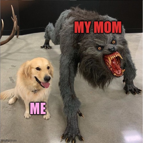 dog vs werewolf |  MY MOM; ME | image tagged in i dont know | made w/ Imgflip meme maker