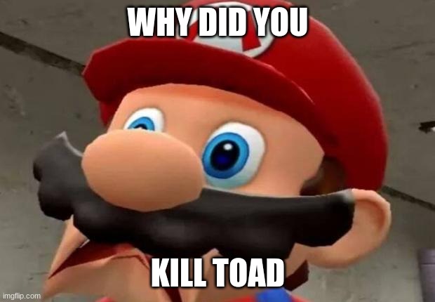 Mario WTF | WHY DID YOU KILL TOAD | image tagged in mario wtf | made w/ Imgflip meme maker