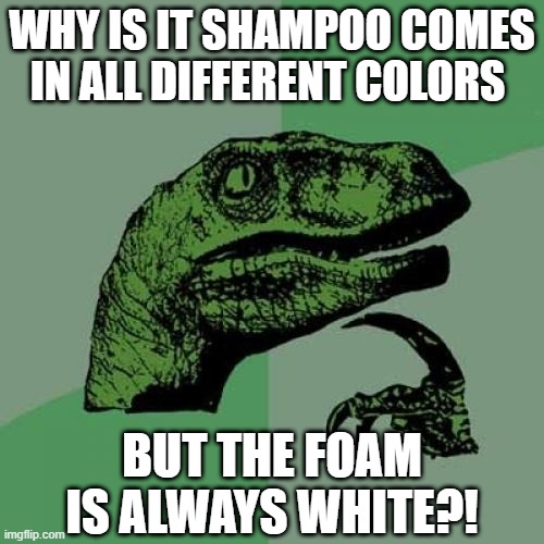 Deep Thoughts |  WHY IS IT SHAMPOO COMES IN ALL DIFFERENT COLORS; BUT THE FOAM IS ALWAYS WHITE?! | image tagged in memes,philosoraptor | made w/ Imgflip meme maker
