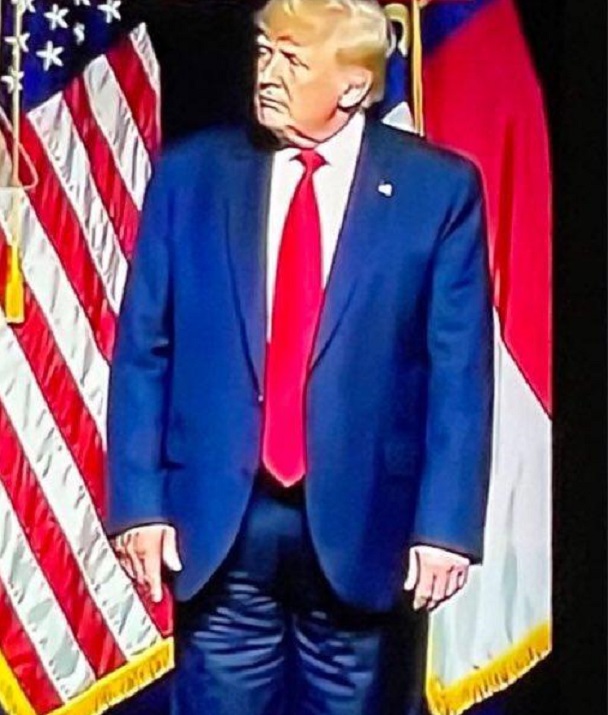 trump diaper Blank Meme Template