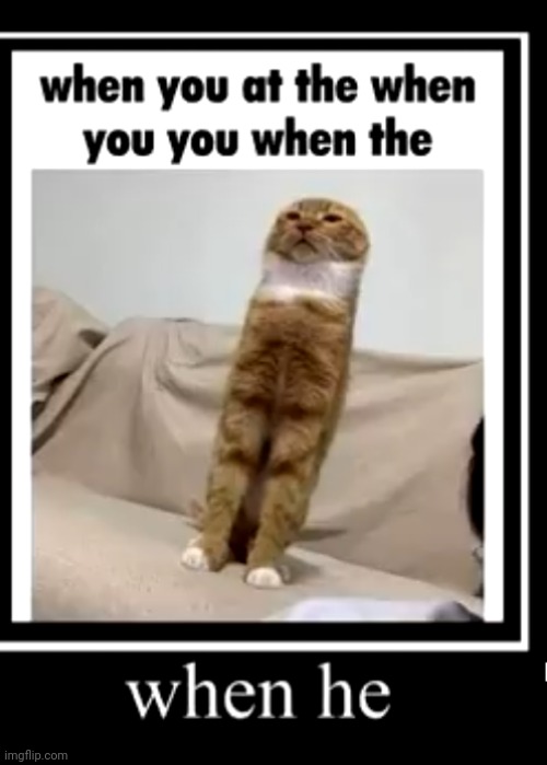 made w/ Imgflip meme maker