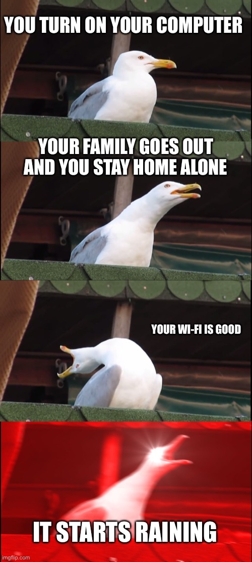 Inhaling Seagull | YOU TURN ON YOUR COMPUTER; YOUR FAMILY GOES OUT AND YOU STAY HOME ALONE; YOUR WI-FI IS GOOD; IT STARTS RAINING | image tagged in memes,inhaling seagull | made w/ Imgflip meme maker