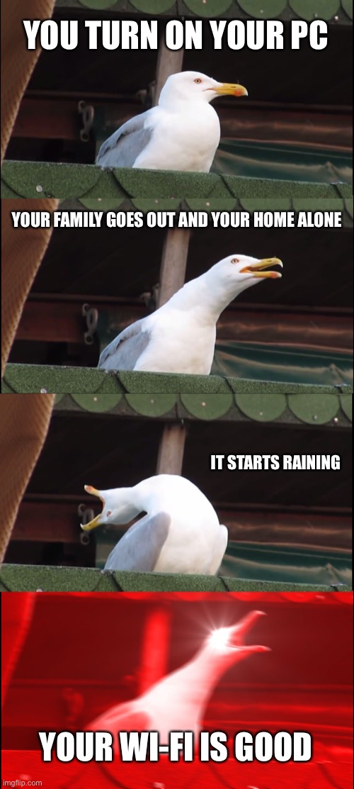 Inhaling Seagull Meme | YOU TURN ON YOUR PC; YOUR FAMILY GOES OUT AND YOUR HOME ALONE; IT STARTS RAINING; YOUR WI-FI IS GOOD | image tagged in memes,inhaling seagull | made w/ Imgflip meme maker