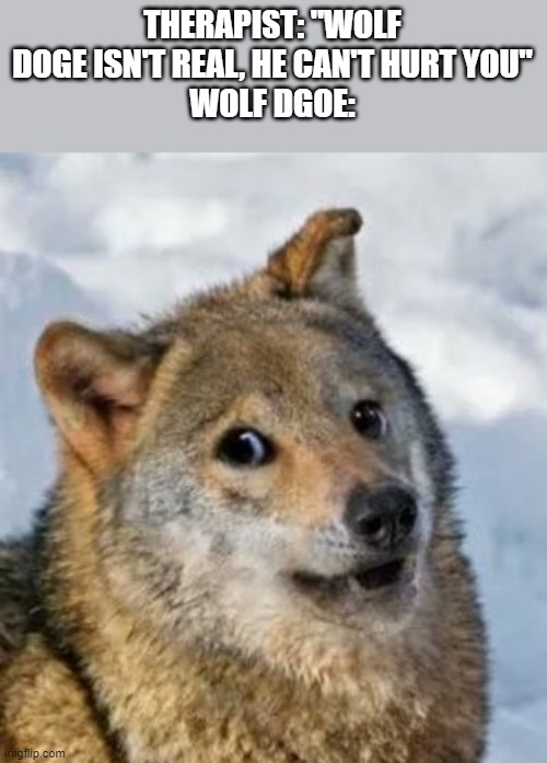 THERAPIST: "WOLF DOGE ISN'T REAL, HE CAN'T HURT YOU"
WOLF DGOE: | made w/ Imgflip meme maker