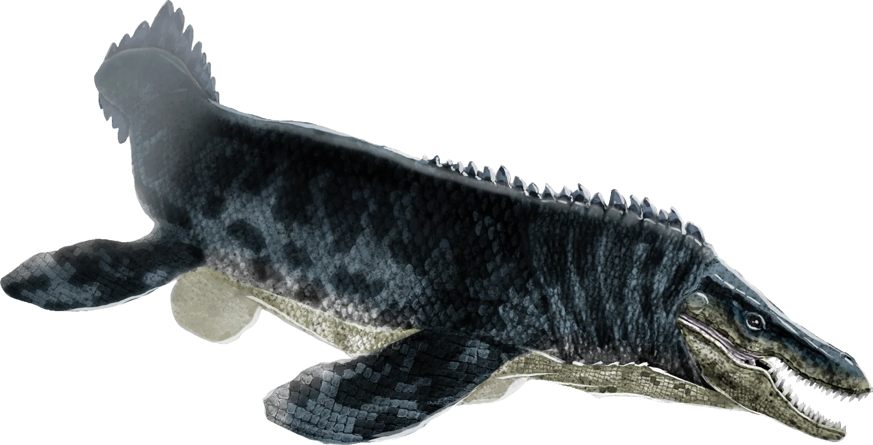 Tylosaurus (JPTG Design) Blank Meme Template