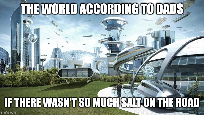 The future world if | THE WORLD ACCORDING TO DADS; IF THERE WASN'T SO MUCH SALT ON THE ROAD | image tagged in the future world if | made w/ Imgflip meme maker