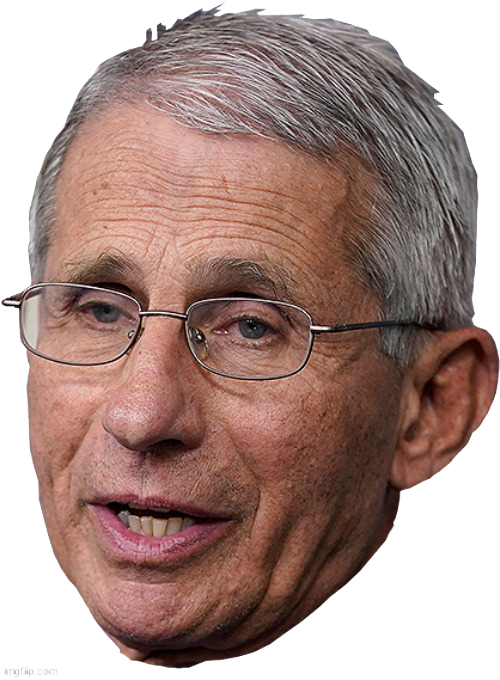 Fauci head Blank Meme Template