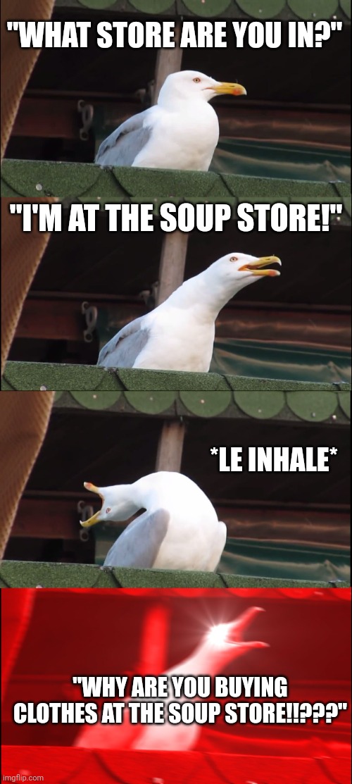 Inhaling Seagull Meme | "WHAT STORE ARE YOU IN?"; "I'M AT THE SOUP STORE!"; *LE INHALE*; "WHY ARE YOU BUYING CLOTHES AT THE SOUP STORE!!???" | image tagged in memes,inhaling seagull | made w/ Imgflip meme maker
